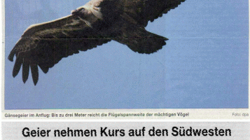 Stuttgarter Nachrichten 15.05.2007