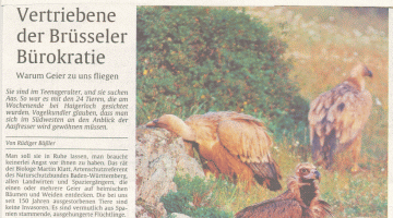 Stuttgarter Zeitung 15.05.2007
